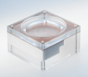 Dental mold G20